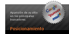 Posicionamiento en Buscadores